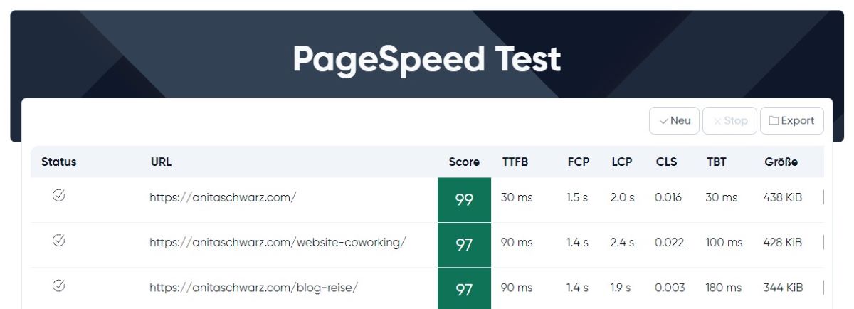PageSpeed-Test für meine eigene Website mit Ergebnissen über einem Wert von 95/100.