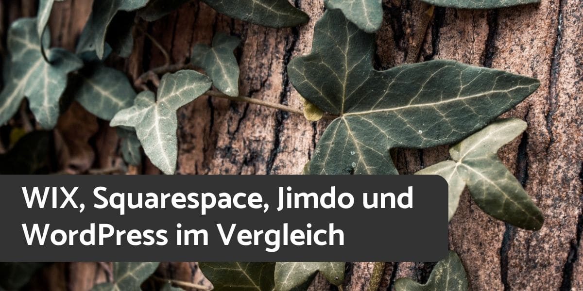 WIX, Squarespace, Jimdo und WordPress im Vergleich